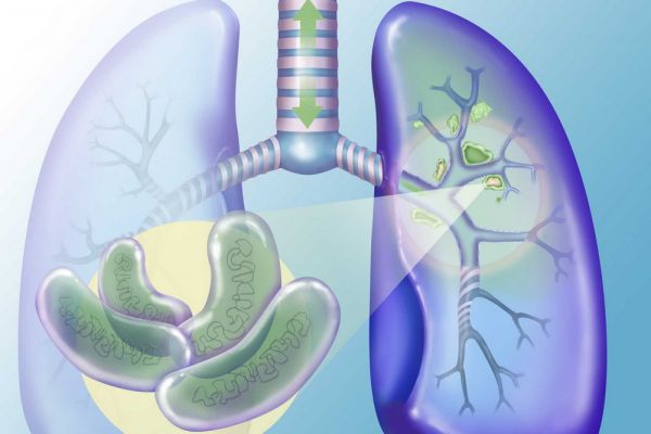 ad227fe9eb75ad947a264888bc269579